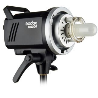 godox ms300