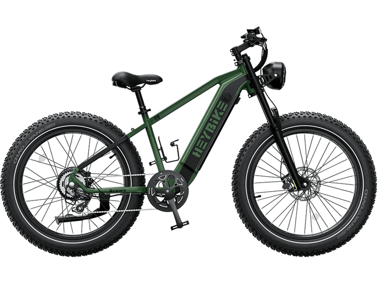 Electric Bicycles